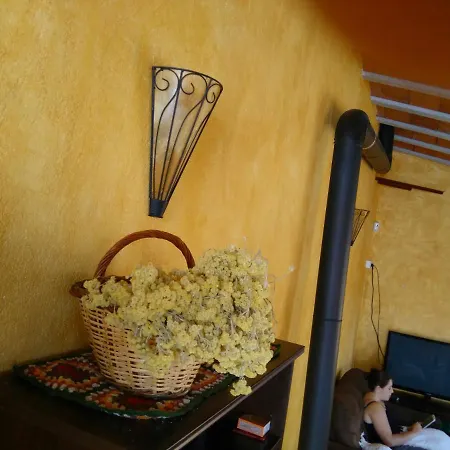 Ca Lhorténsia Сasa de vacaciones